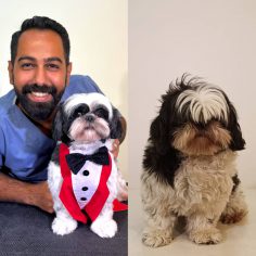 عمو سلی آرایشگر جدید پرشین پت